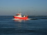 Barco pescando